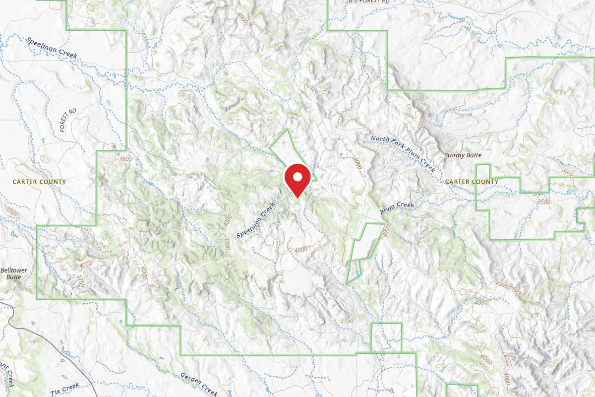 Custer Gallatin Dispersed Campsite NORTH 3198E RD