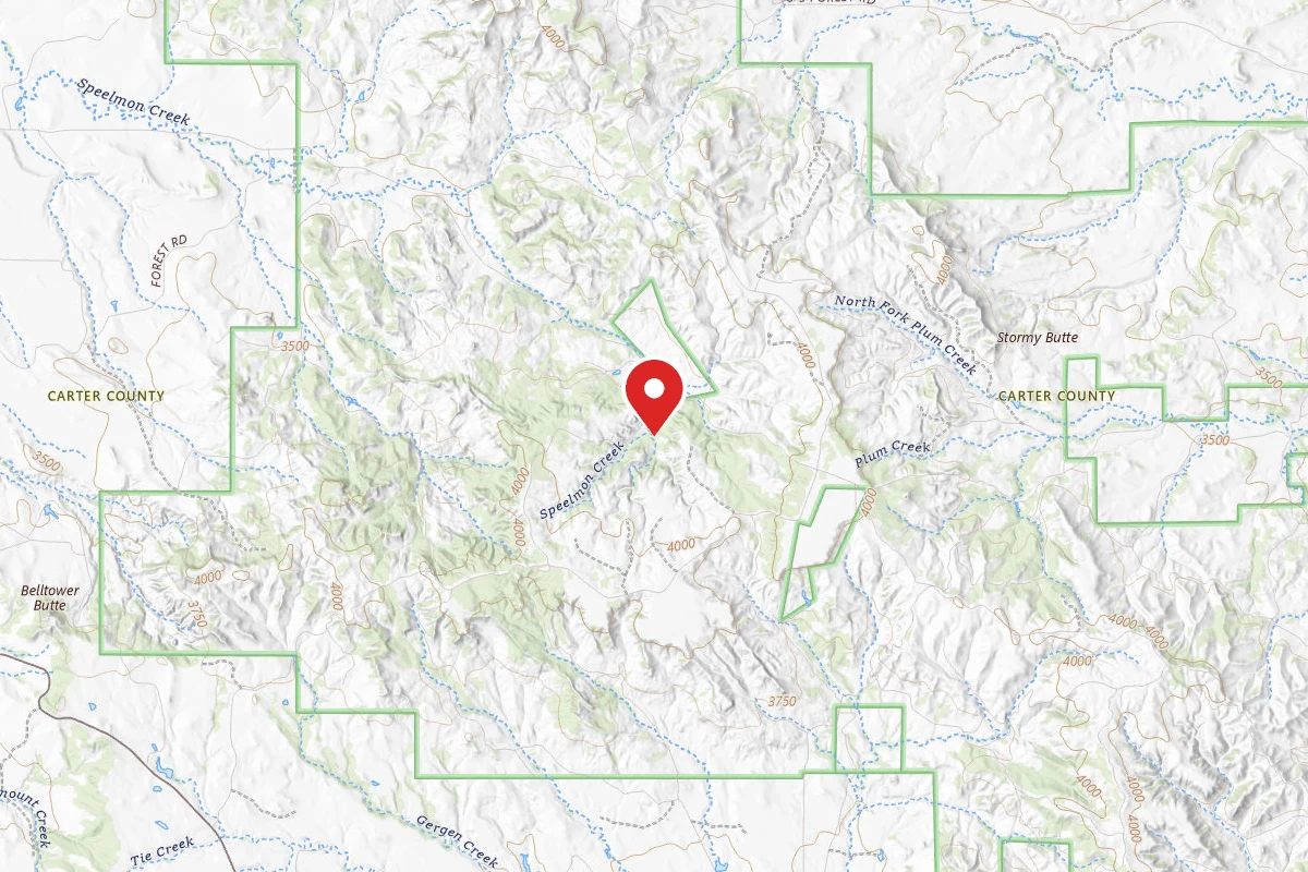 Custer Gallatin Dispersed Campsite SOUTH 3819E ROAD