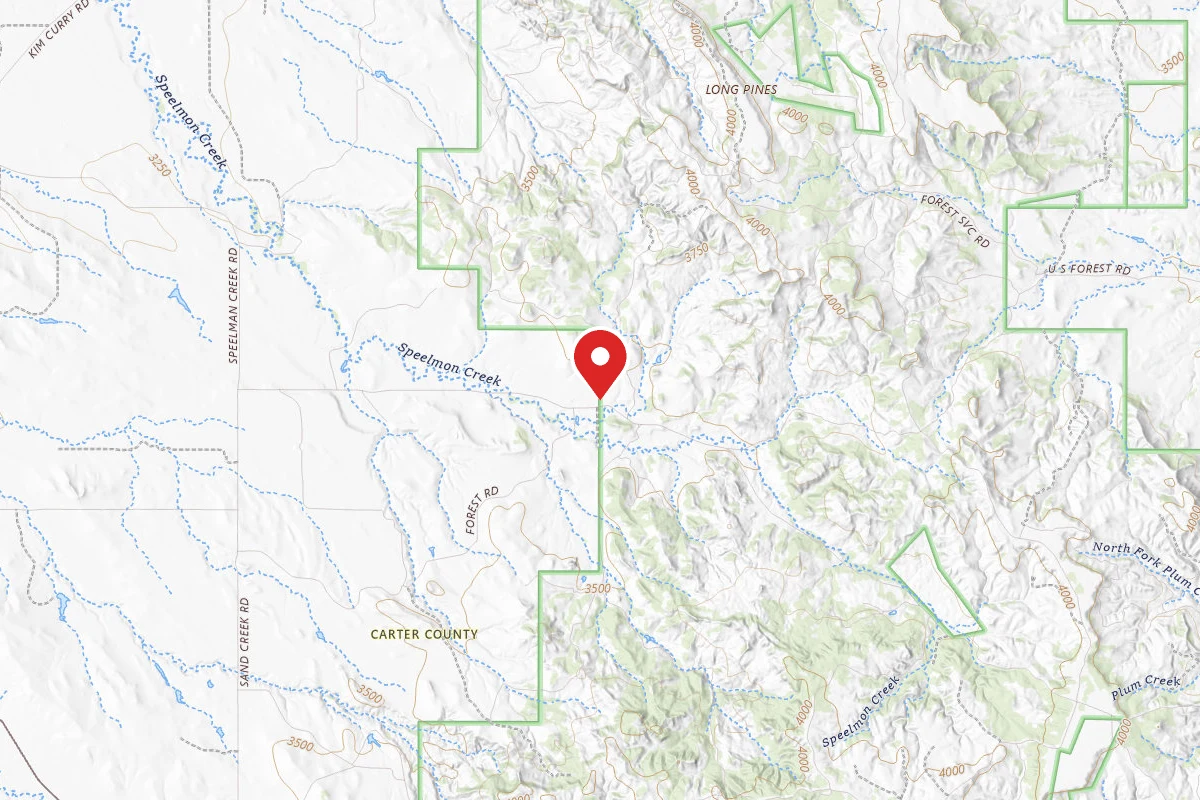 Speelman CR RD Forest Boundry-North