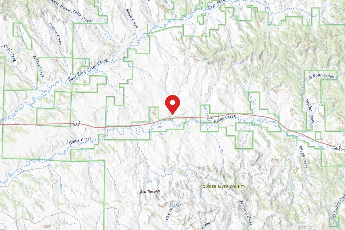 Custer Gallatin Dispersed Campsite FR44601