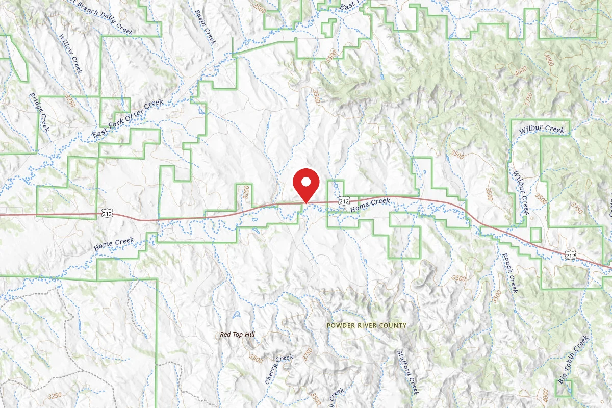 Custer Gallatin Dispersed Campsite SPUR OFF HWY 212