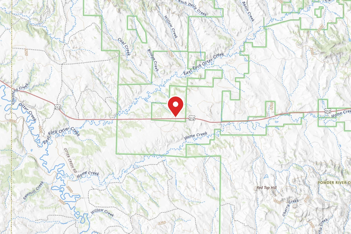 Custer Gallatin Dispersed Campsite SPUR OFF HWY 212B
