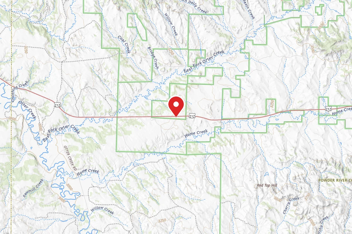 Custer Gallatin Dispersed Campsite SPUR OFF HWY 212D