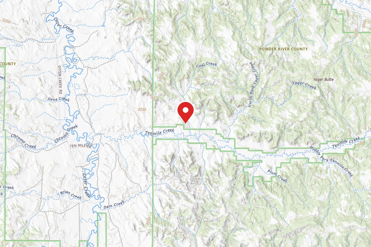 Custer Gallatin Dispersed Campsite FR4410