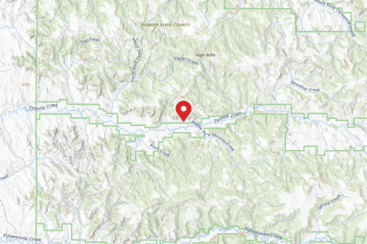 Custer Gallatin Dispersed Campsite FR404D