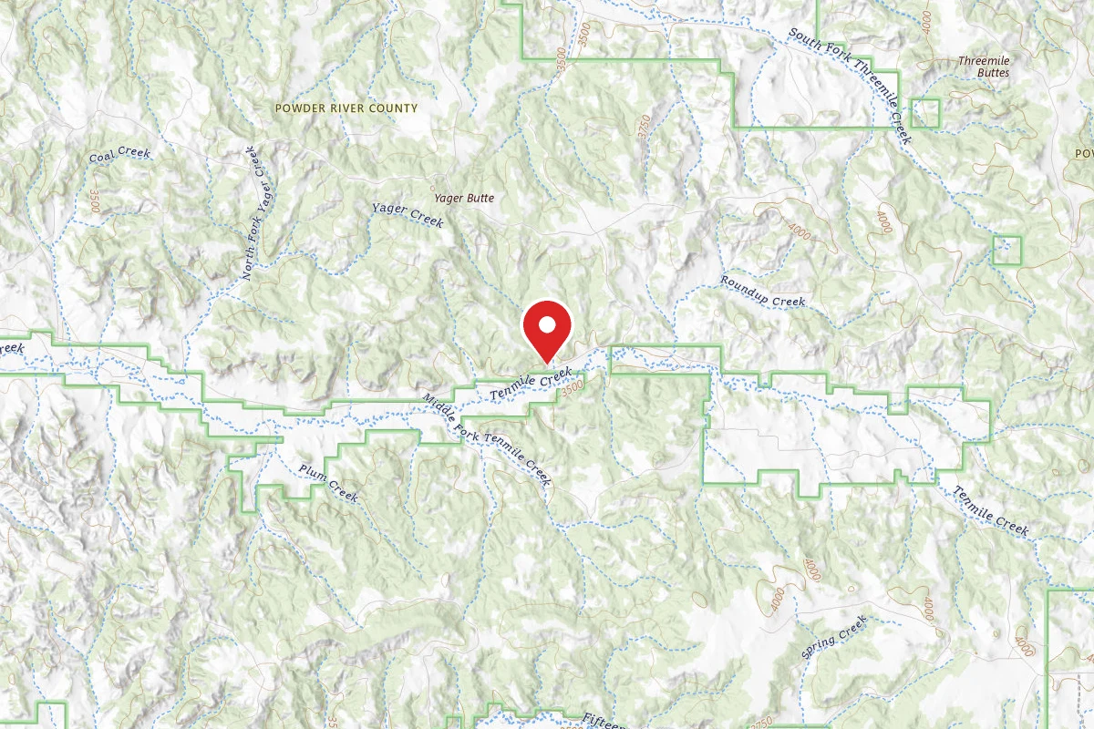 Custer Gallatin Dispersed Campsite FR40925