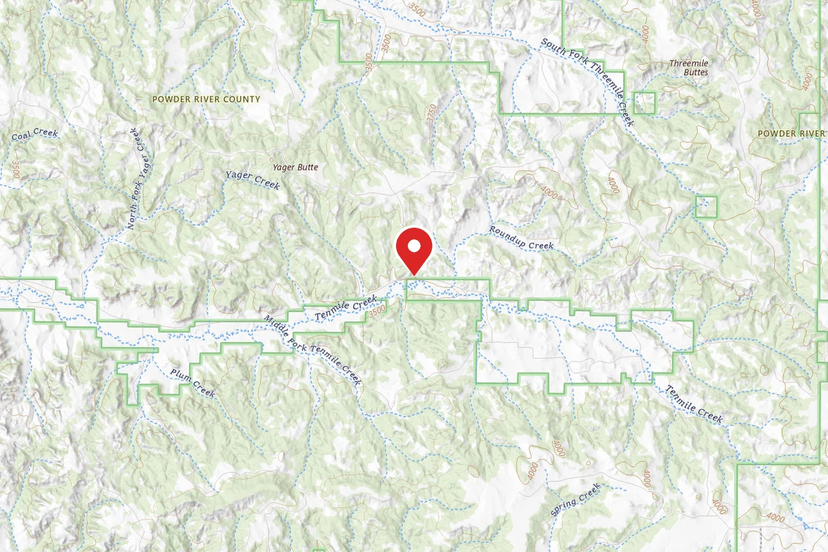 Custer Gallatin Dispersed Campsite FR4703A
