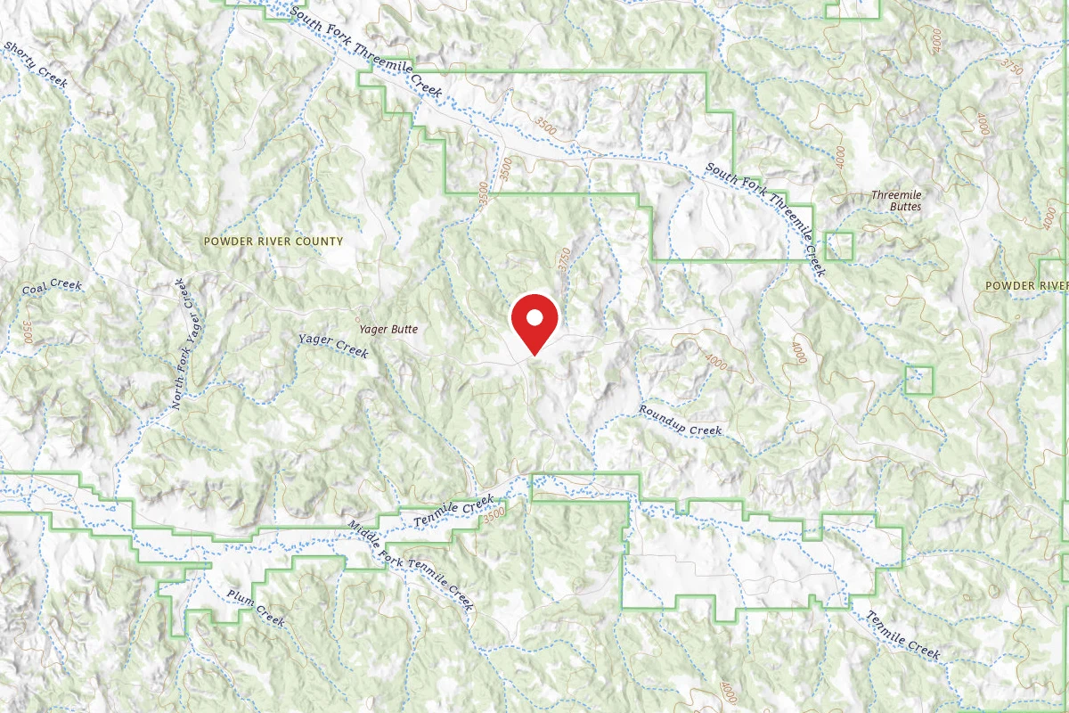 Custer Gallatin Dispersed Campsite FR4467