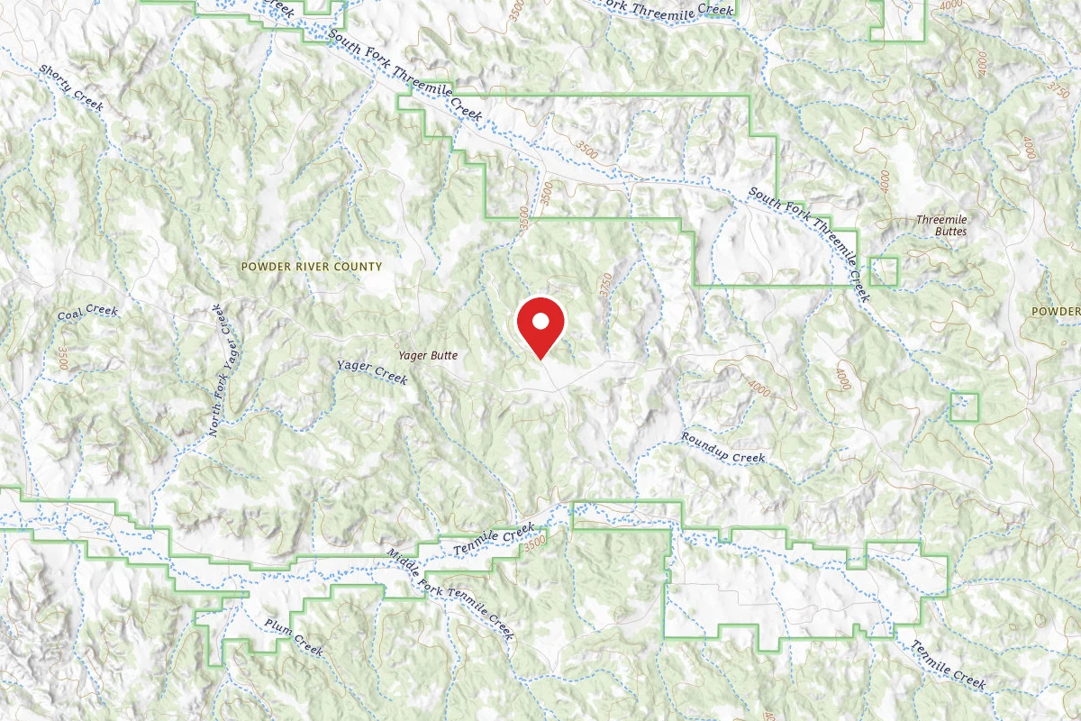 Custer Gallatin Dispersed Campsite FR4703C