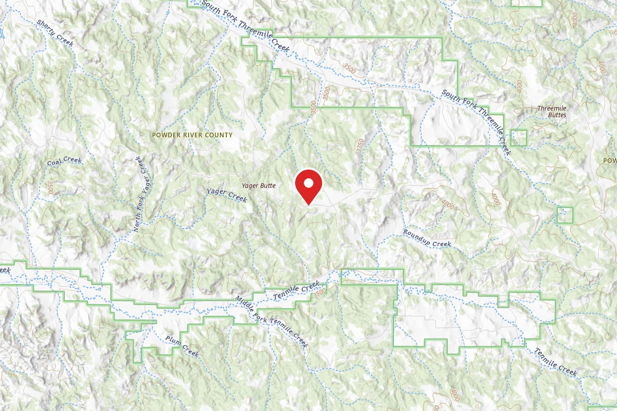 Custer Gallatin Dispersed Campsite FR4410B