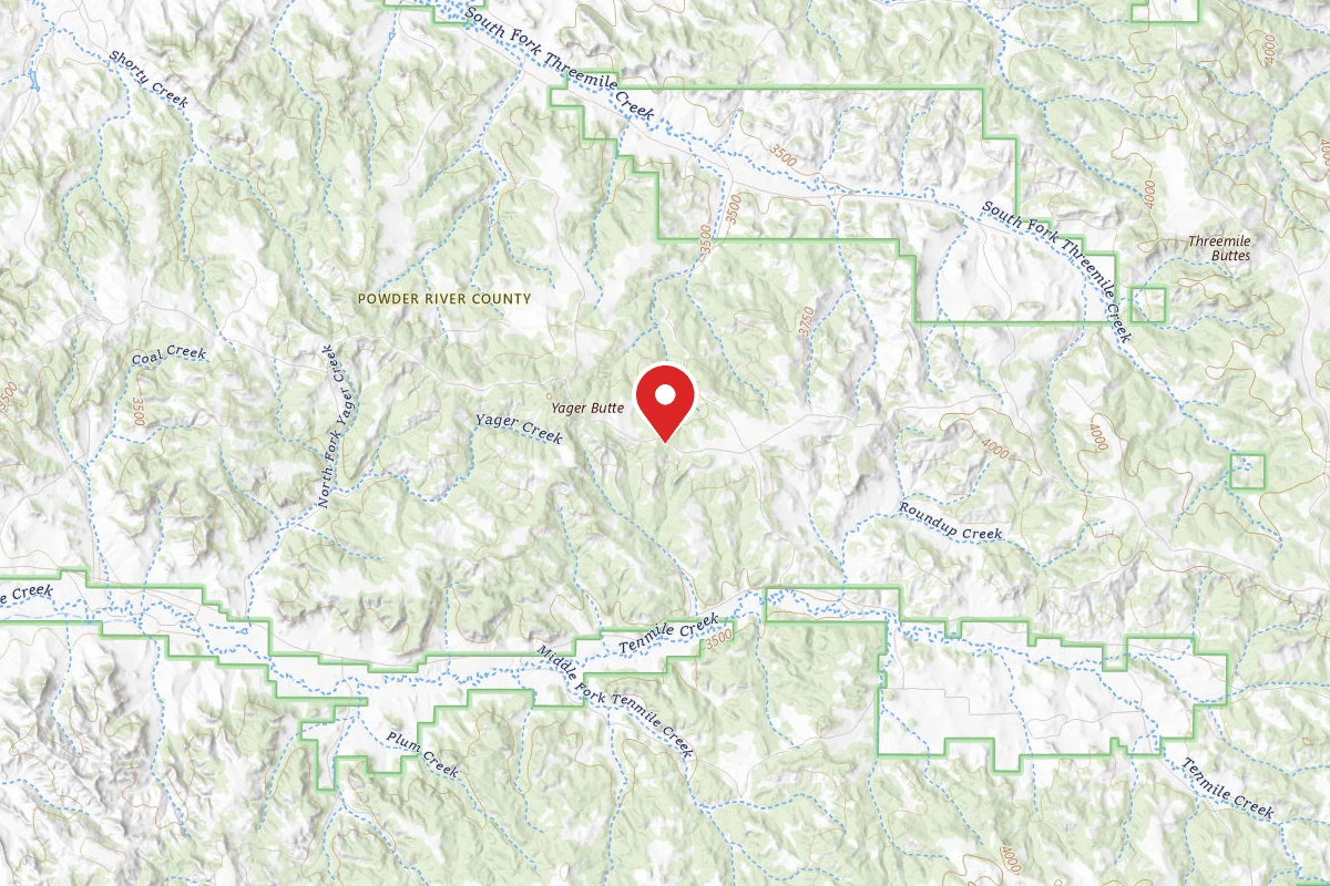 Custer Gallatin Dispersed Campsite FR4410C