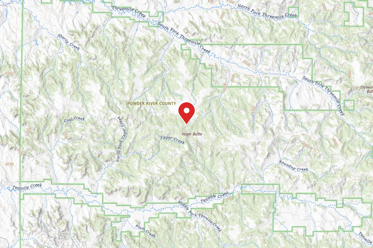 Custer Gallatin Dispersed Campsite FR44104A
