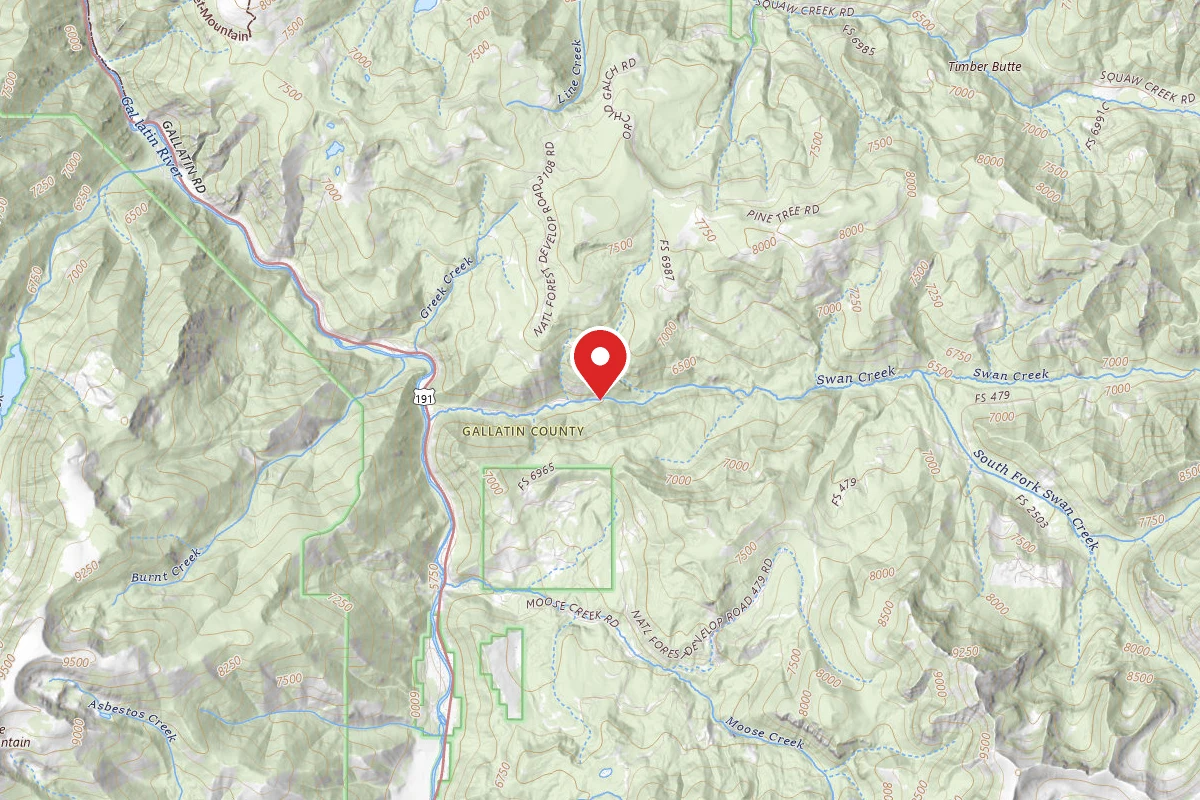Custer Gallatin Dispersed Campsite FR481-01