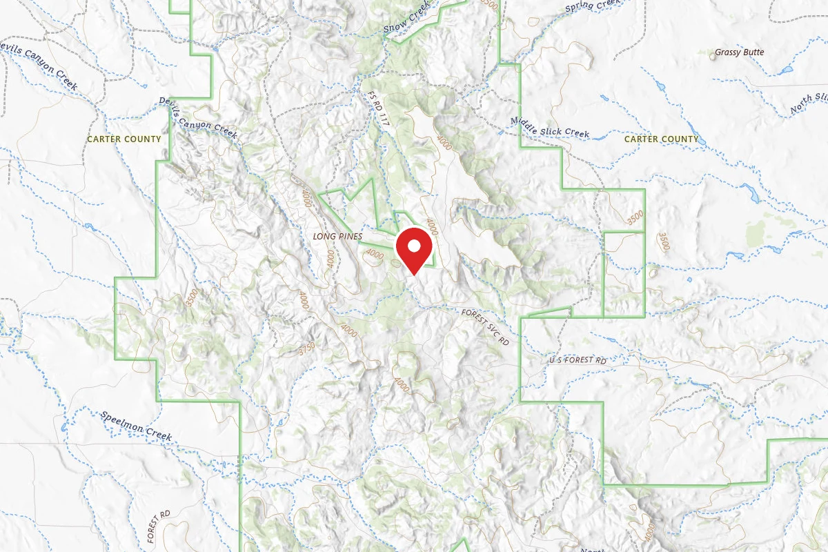 Custer Gallatin Dispersed Campsite 3117C