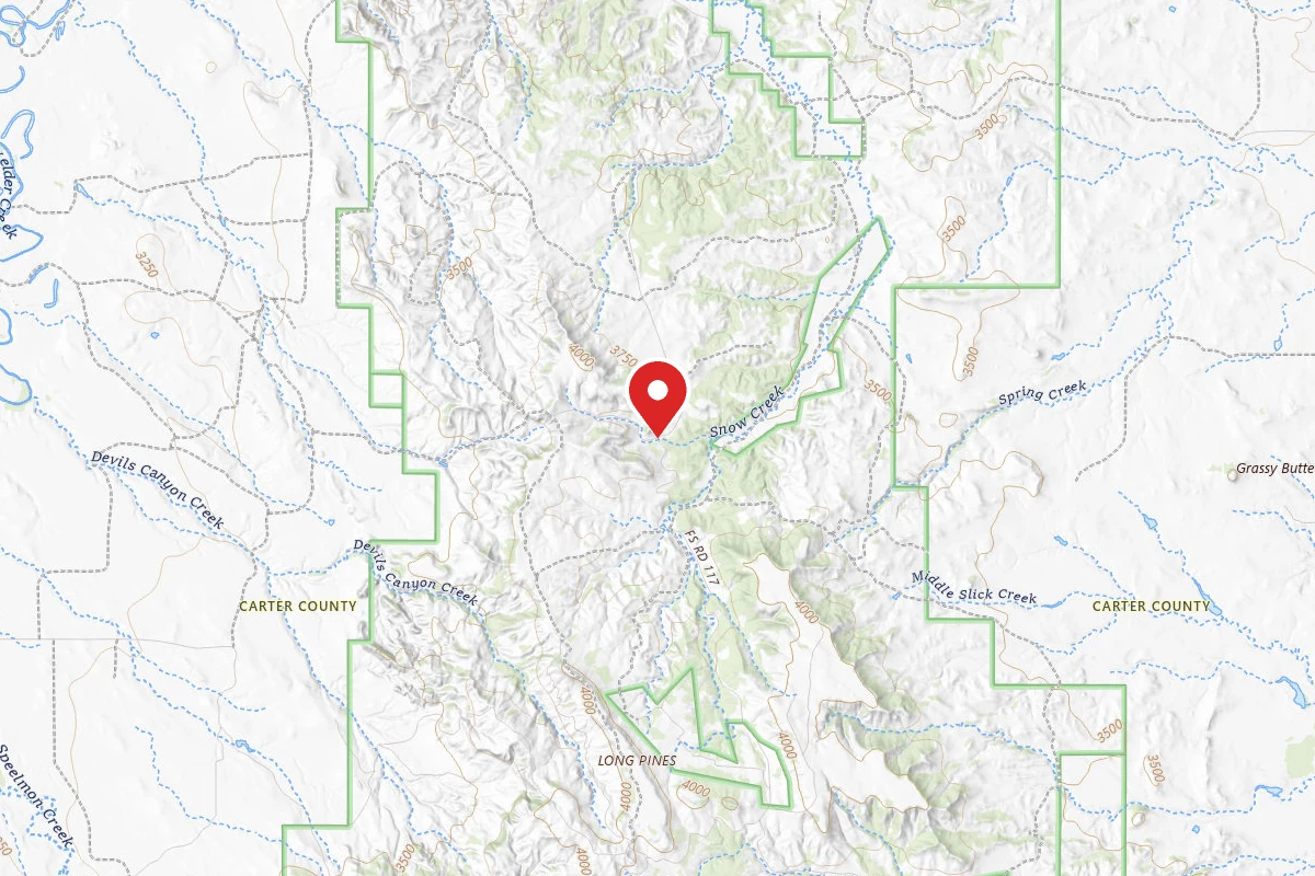 Custer Gallatin Dispersed Campsite HALBERT GULCH-RD 3817