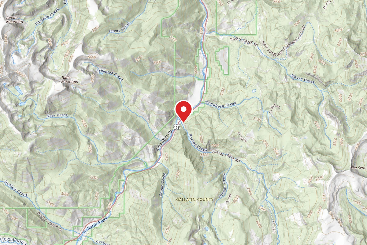 Custer Gallatin Dispersed Campsite HWY191-48 PORTAL CK TRLHD