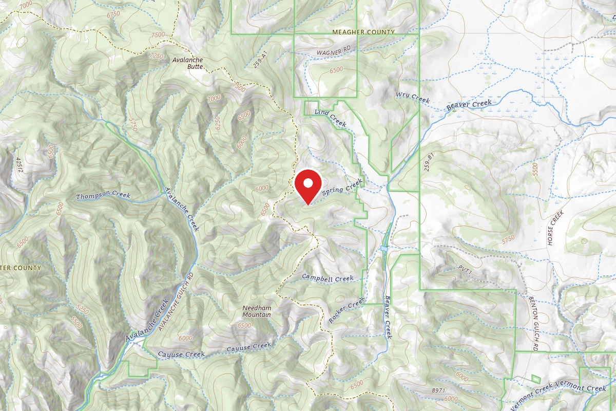 Helena-Lewis and Clark Dispersed Campsite WAGNER RD 259 004