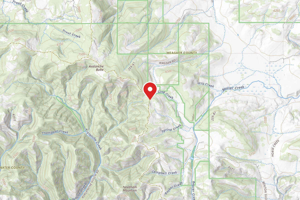 Helena-Lewis and Clark Dispersed Campsite RIDGE RD 4161 005
