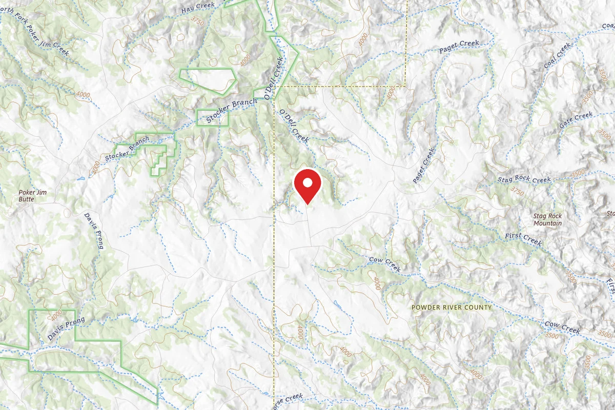 Custer Gallatin Dispersed Campsite FR41317A