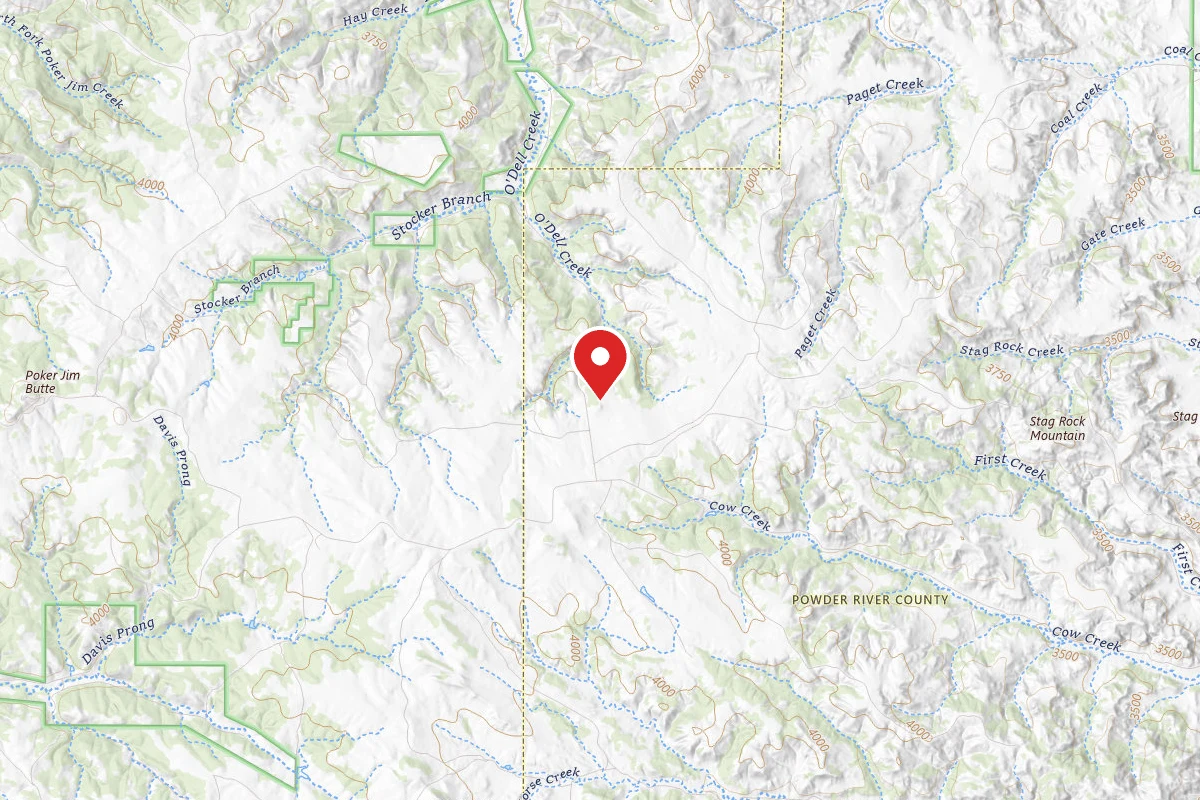 Custer Gallatin Dispersed Campsite FR41317C
