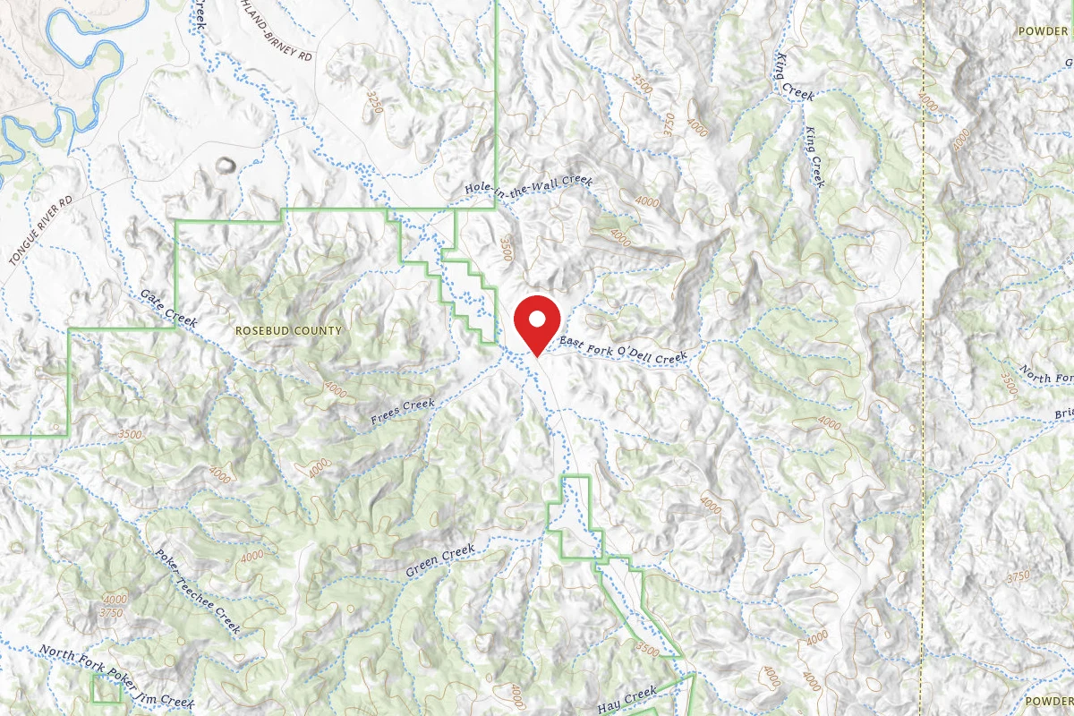Custer Gallatin Dispersed Campsite FR1313A