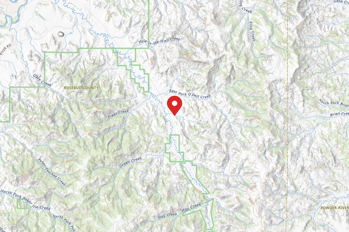 Custer Gallatin Dispersed Campsite FR413111