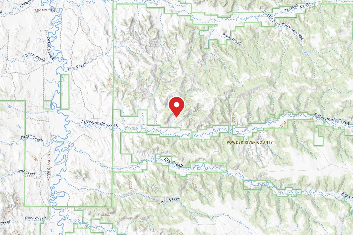 Custer Gallatin Dispersed Campsite FR 40944