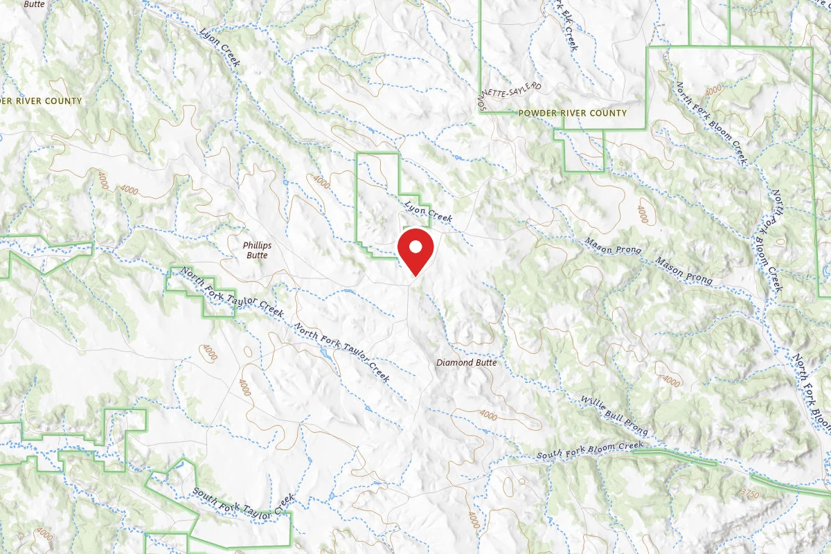 Custer Gallatin Dispersed Campsite FR4127A