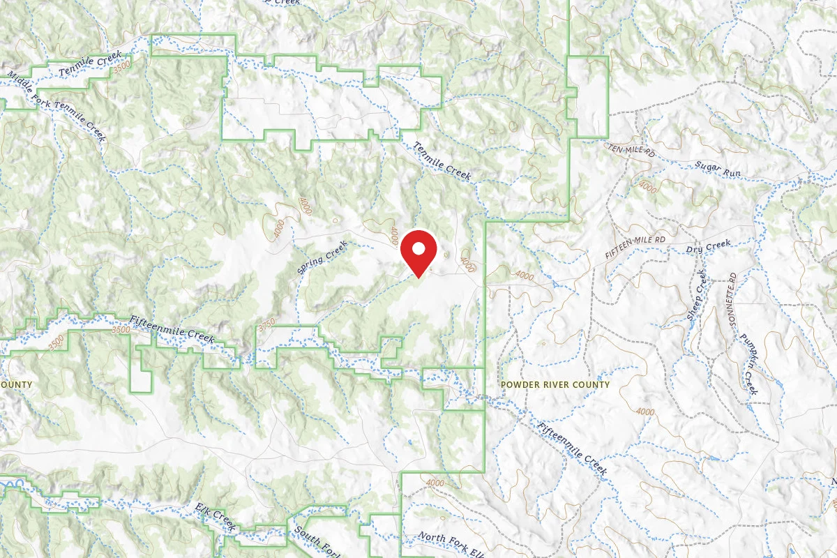 Custer Gallatin Dispersed Campsite FR409410