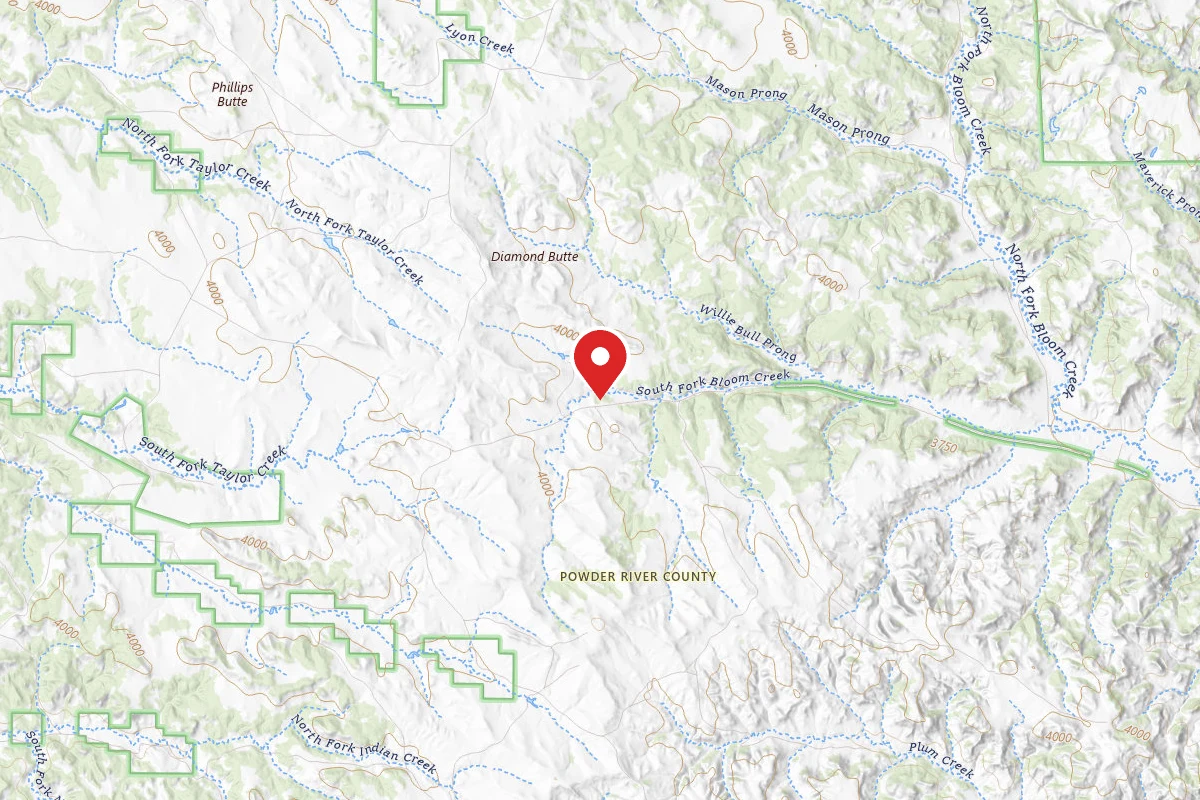 Bloom Creek Road A