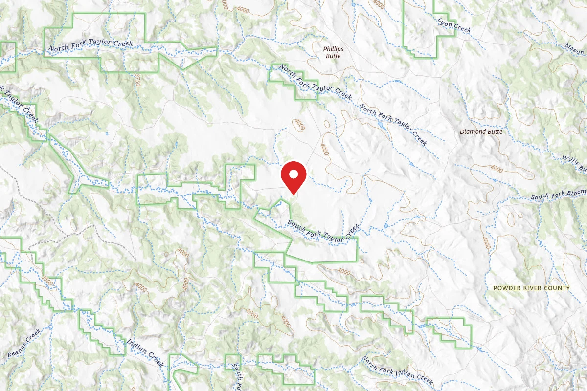 Custer Gallatin Dispersed Campsite FR47906