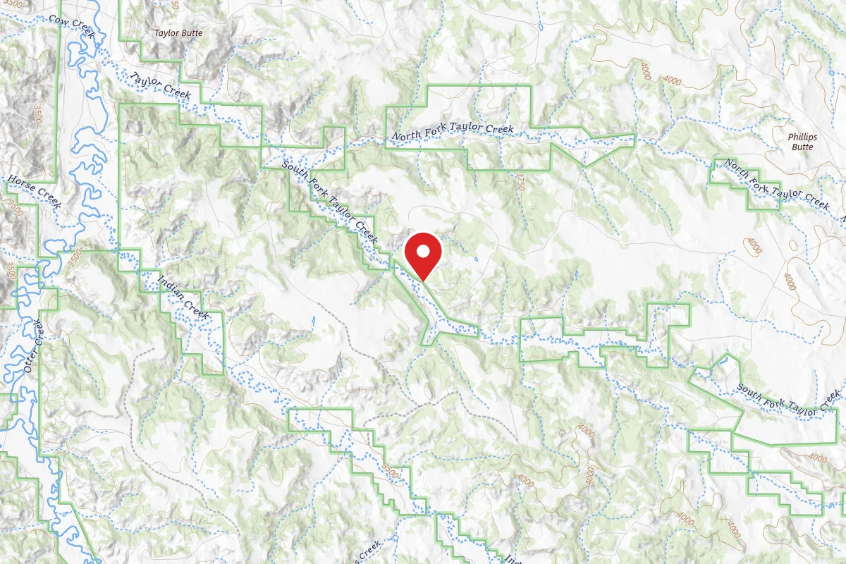Custer Gallatin Dispersed Campsite FR4436