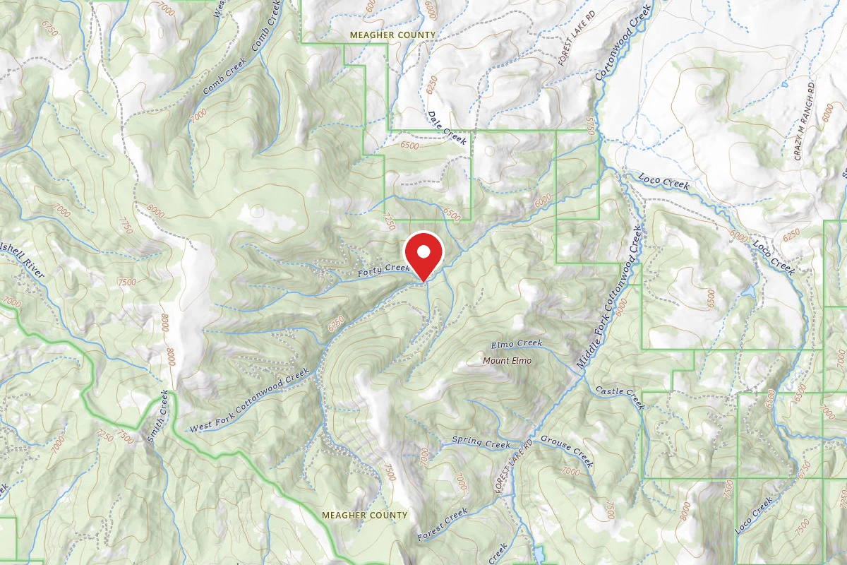 Helena-Lewis and Clark Dispersed Campsite FORTY CRK RD 8918-204