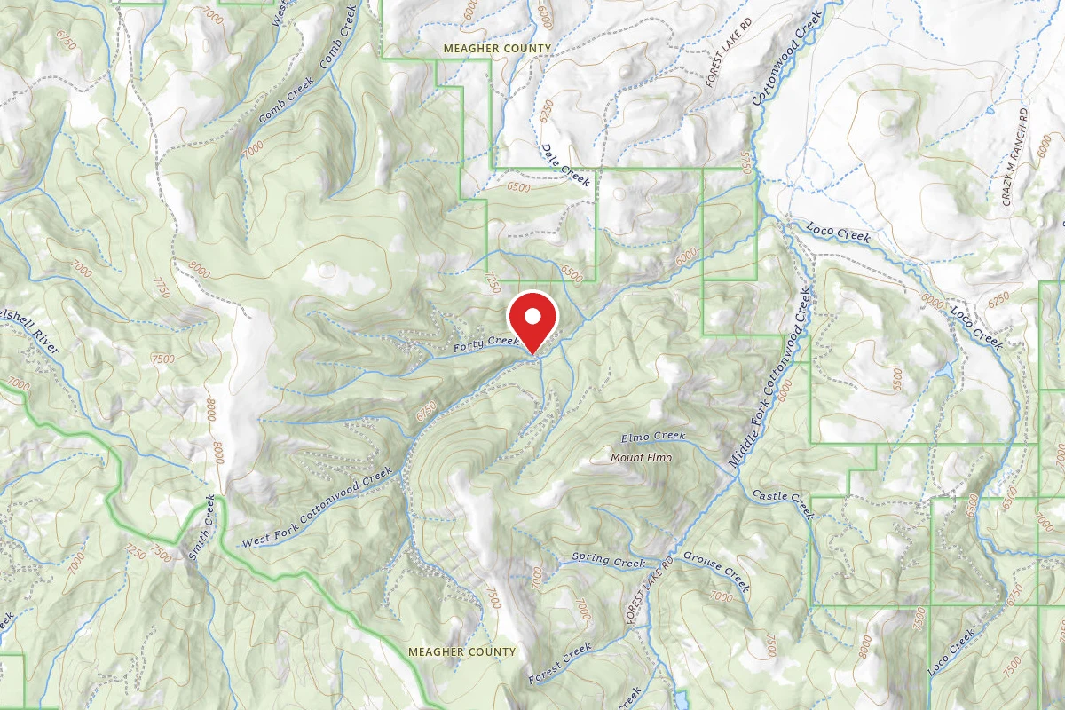 Helena-Lewis and Clark Dispersed Campsite FORTY FORK CRK RD 8918