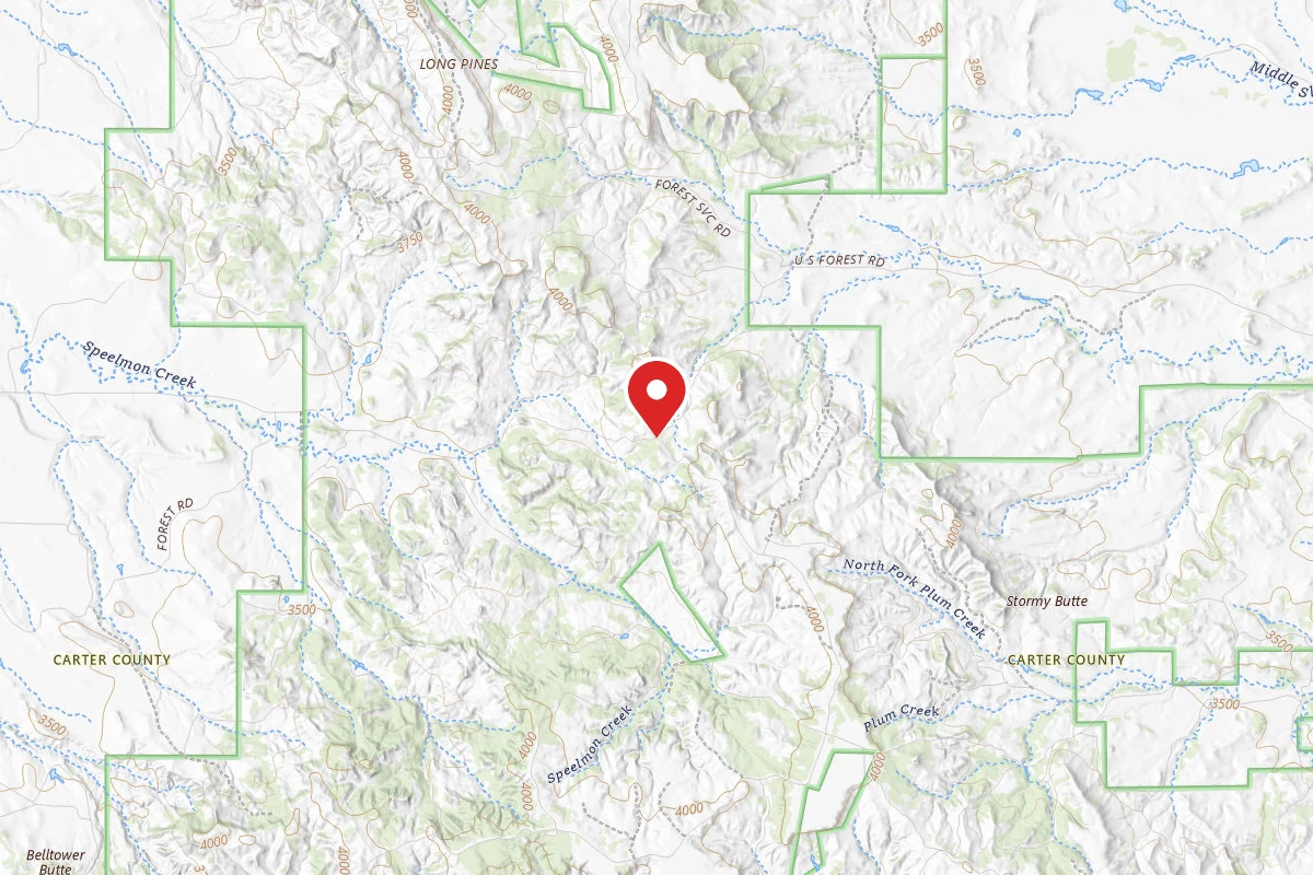 Custer Gallatin Dispersed Campsite 3057E RD-SNOW CREEK