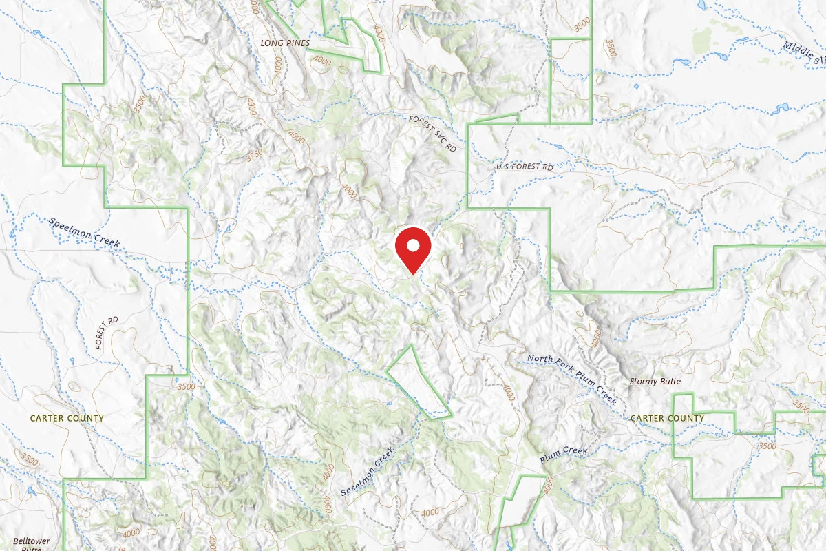 Custer Gallatin Dispersed Campsite 3057E RD