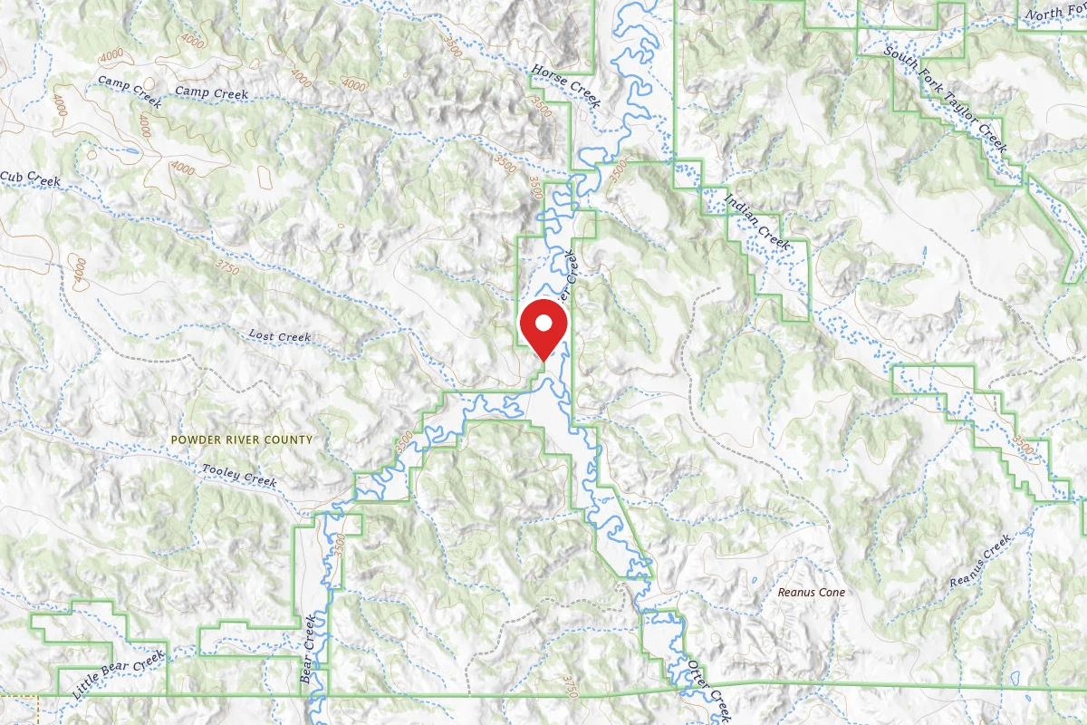 Custer Gallatin Dispersed Campsite FR4799