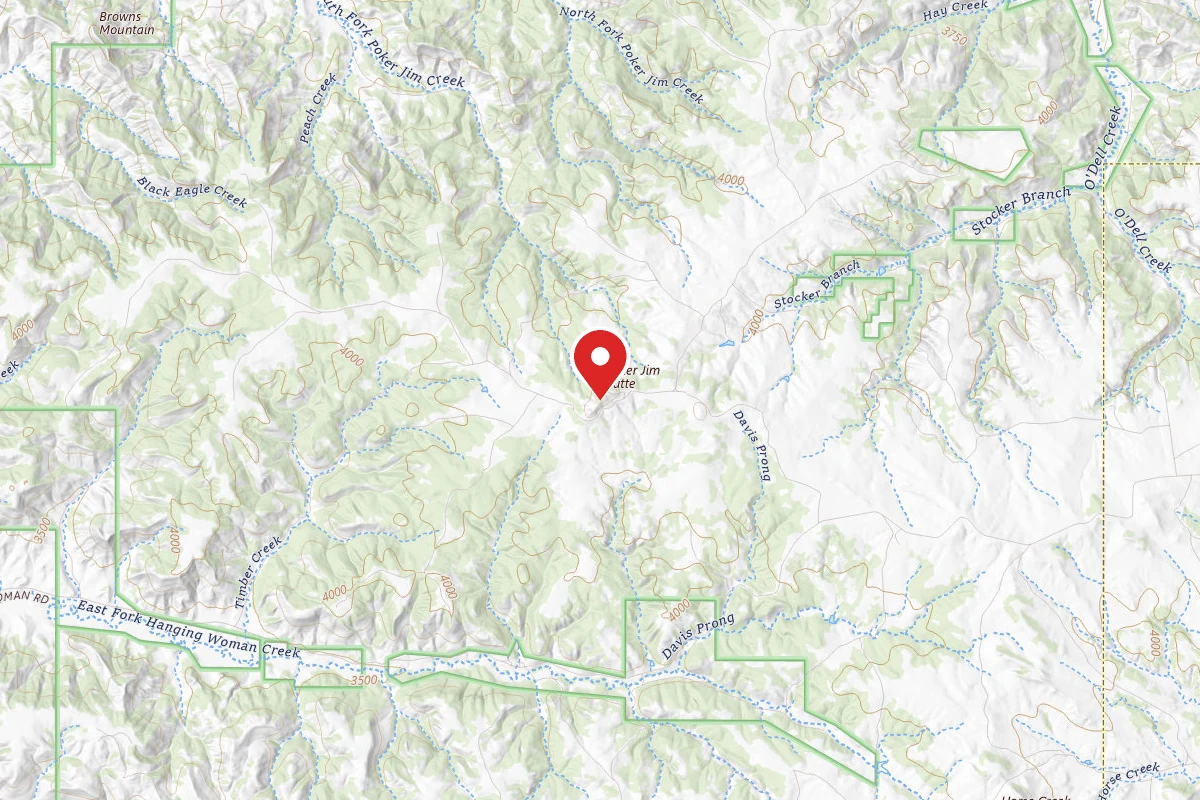 Custer Gallatin Dispersed Campsite FR4801