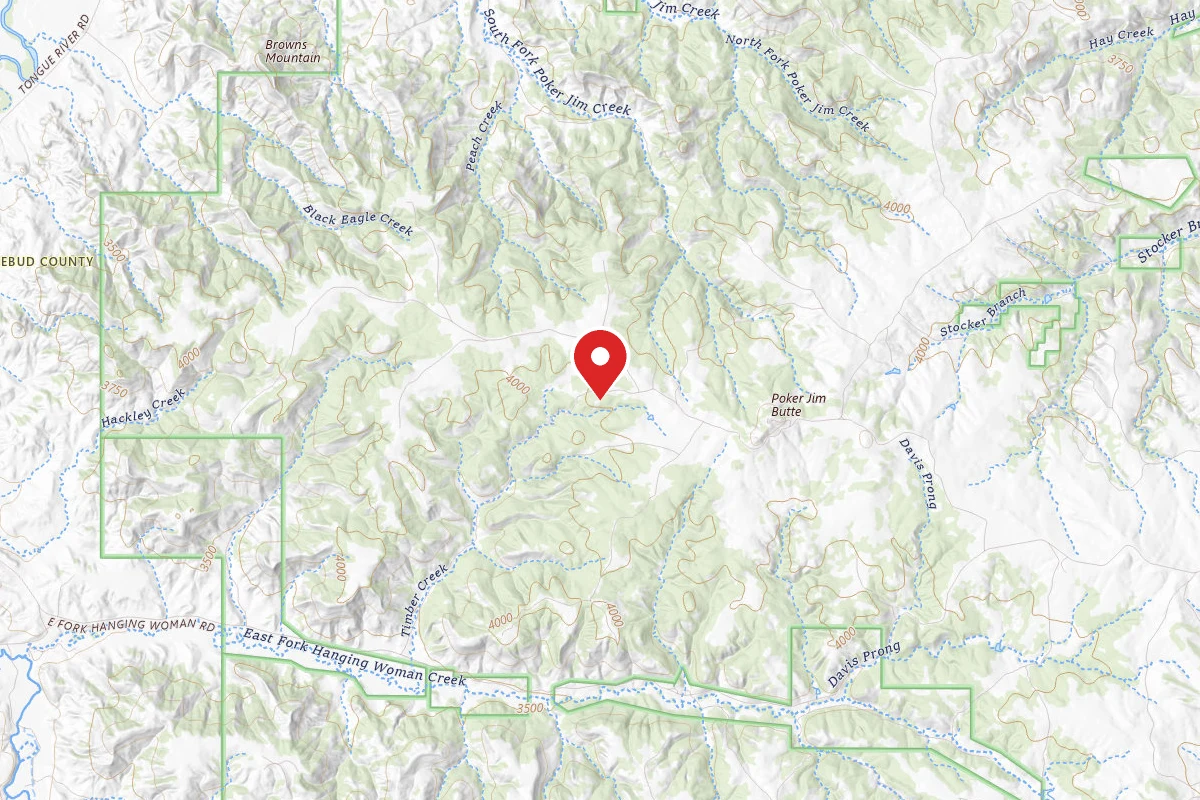 Custer Gallatin Dispersed Campsite FR4023B