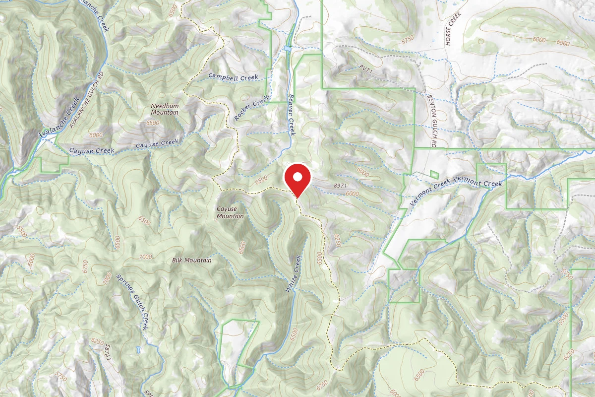 Helena-Lewis and Clark Dispersed Campsite RIDGE RD 4161 006