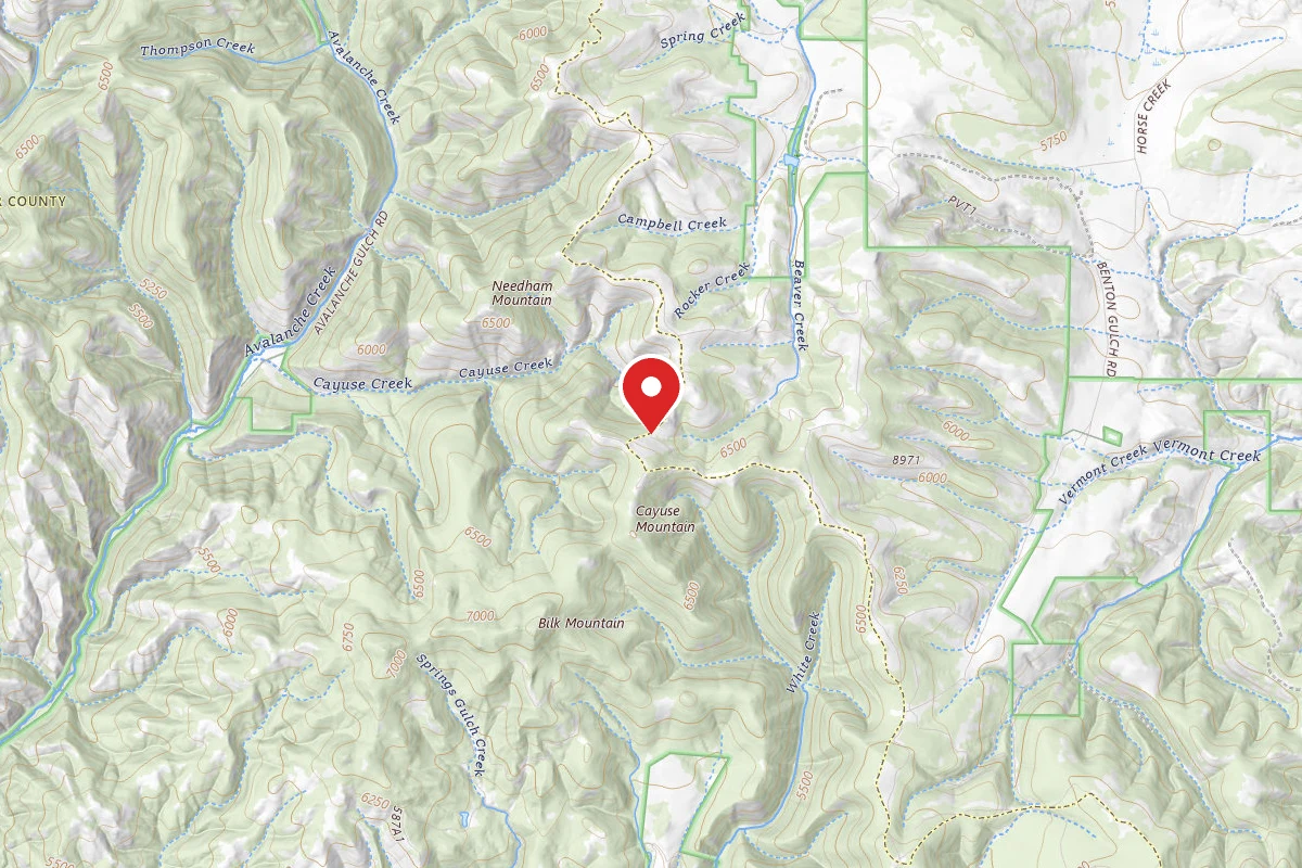 Helena-Lewis and Clark Dispersed Campsite RIDGE RD 4161 007