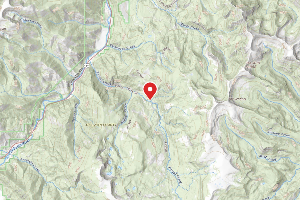 Custer Gallatin Dispersed Campsite FR984-02 MM2.8