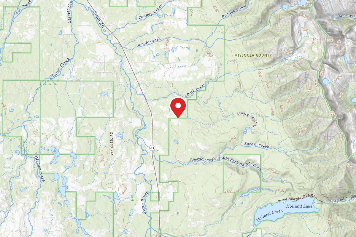 Flathead Dispersed Campsite ROAD 9545