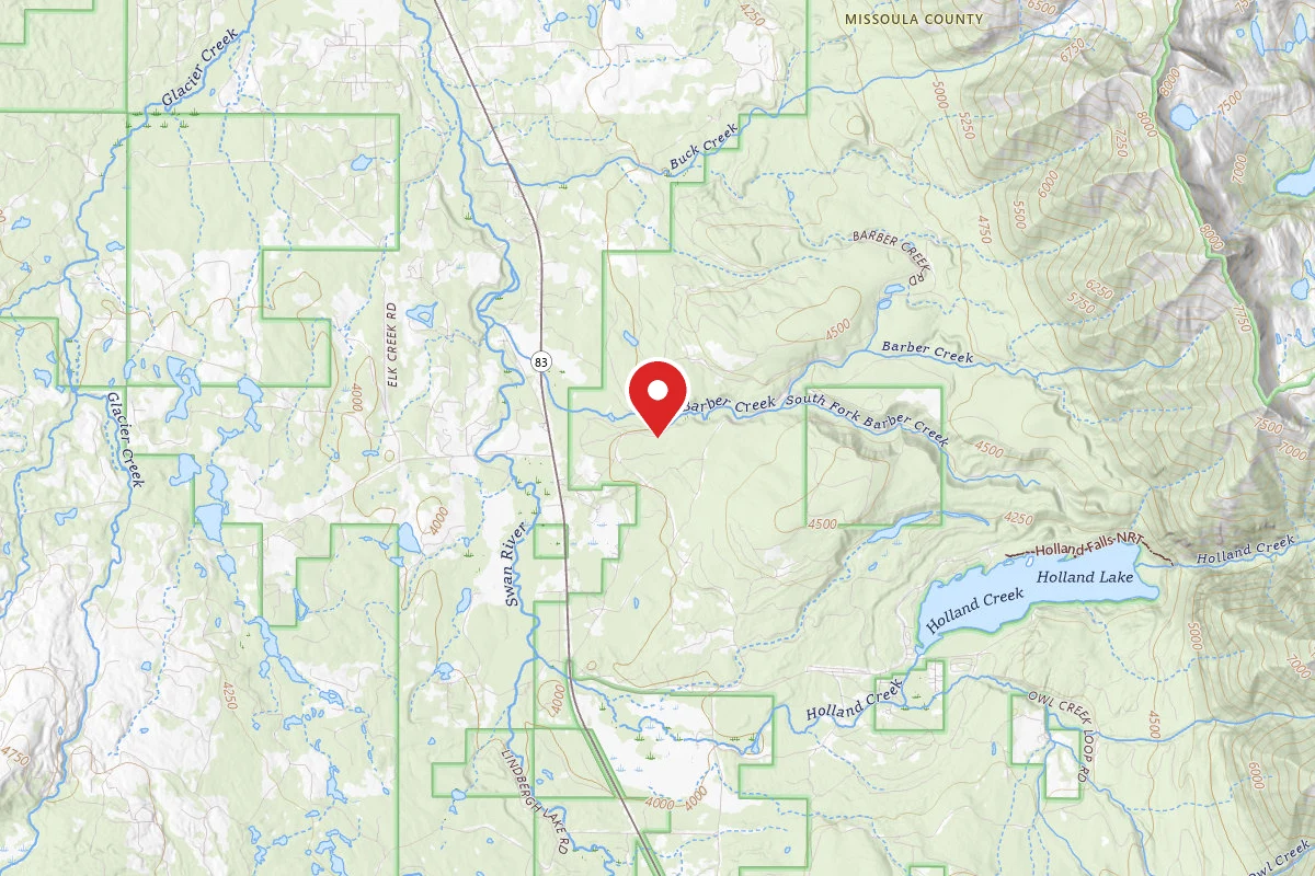 Flathead Dispersed Campsite ROAD 9545 - 3