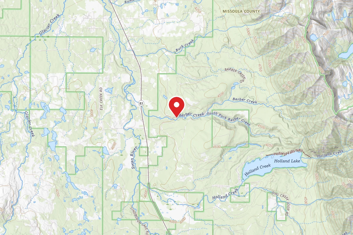 Flathead Dispersed Campsite ROAD 9545 - 2