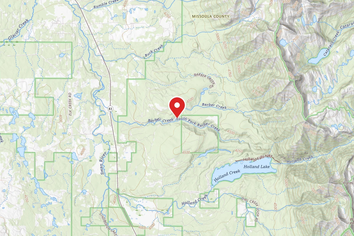 Flathead Dispersed Campsite ROAD 9768