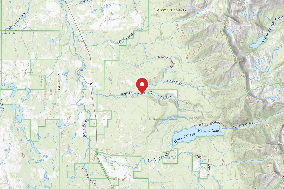Flathead Dispersed Campsite ROAD 9768 - B