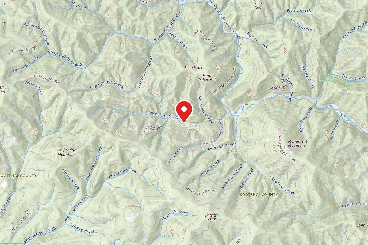 Idaho Panhandle Dispersed Campsite ROAD 612 SITE 2B