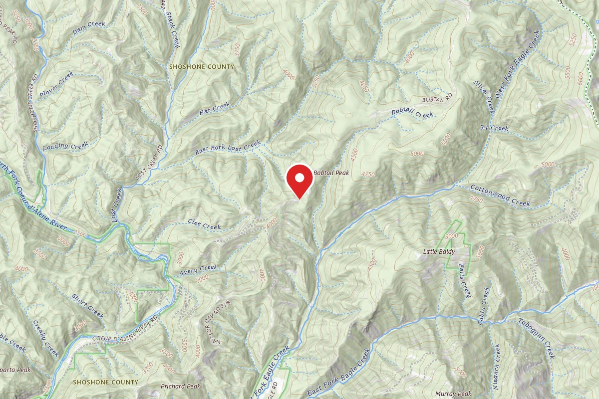 Idaho Panhandle Dispersed Campsite 978 MM7.4