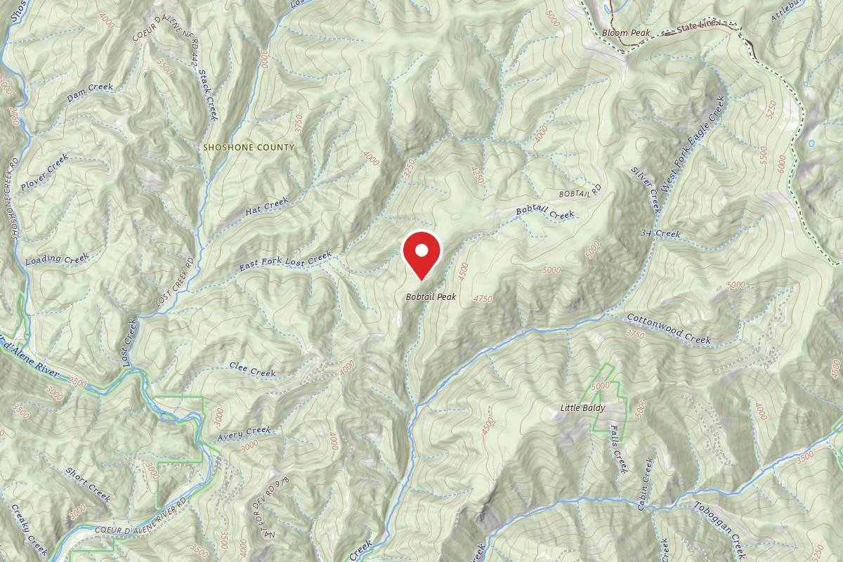 Idaho Panhandle Dispersed Campsite 978 MM8.3